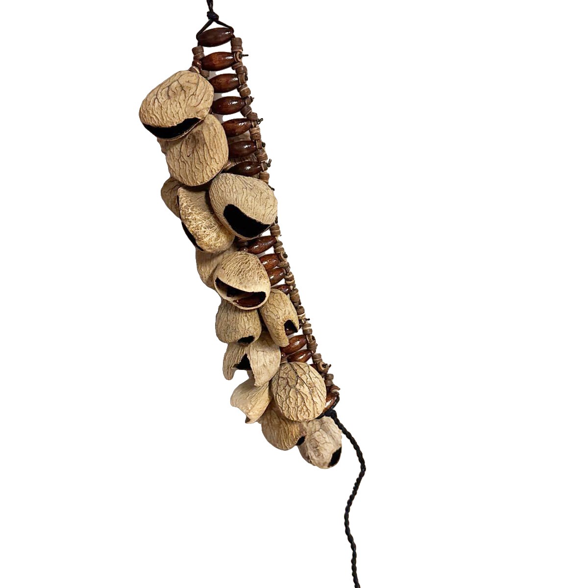 Graines de Pangi sur lien