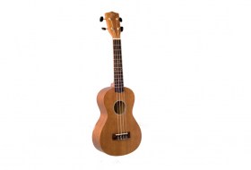 cat-cordes-ukulele
