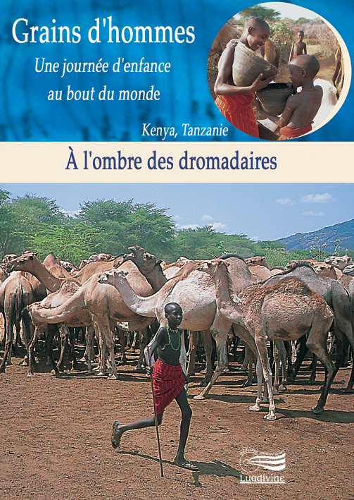 DVD à l’ombre des dromadaires