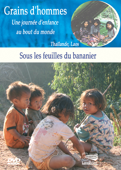 DVD Sous les feuilles du bananier